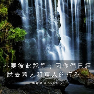 Picture 03 - 歌 羅 西 書 3:9 CUVT - 不 要 彼 此 說 謊 ； 因 你 們 已 經 - Bible Verse Picture