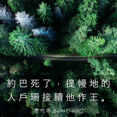 Picture 03 - 歷 代 志 上 1:45 CUVT - 約 巴 死 了 ， 提 幔 地 的 人 戶 珊 - Bible Verse Picture