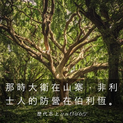 Picture 03 - 歷 代 志 上 11:16 CUVT - 那 時 大 衛 在 山 寨 ， 非 利 士 人 - Bible Verse Picture