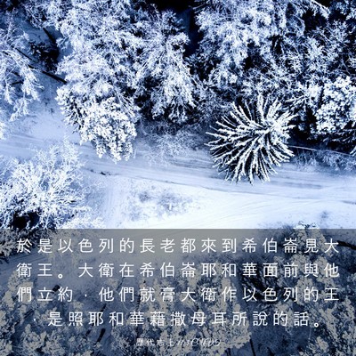 Picture 03 - 歷 代 志 上 11:3 CUVT - 於 是 以 色 列 的 長 老 都 來 到 希 - Bible Verse Picture
