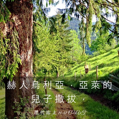 Picture 03 - 歷 代 志 上 11:41 CUVT - 赫 人 烏 利 亞 ， 亞 萊 的 兒 子 撒 - Bible Verse Picture