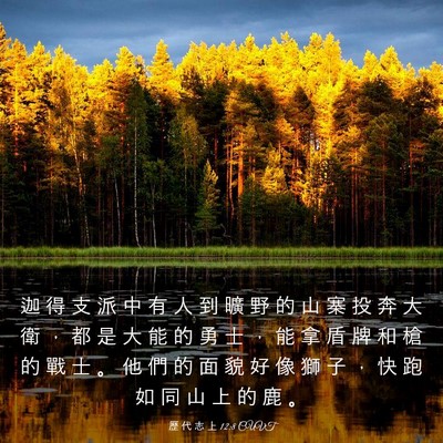 Picture 03 - 歷 代 志 上 12:8 CUVT - 迦 得 支 派 中 有 人 到 曠 野 的 山 - Bible Verse Picture