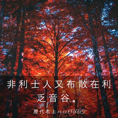 Picture 03 - 歷 代 志 上 14:13 CUVT - 非 利 士 人 又 布 散 在 利 乏 音 谷 - Bible Verse Picture