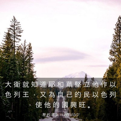 Picture 03 - 歷 代 志 上 14:2 CUVT - 大 衛 就 知 道 耶 和 華 堅 立 他 作 - Bible Verse Picture