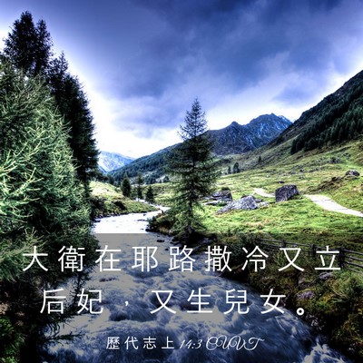 Picture 03 - 歷 代 志 上 14:3 CUVT - 大 衛 在 耶 路 撒 冷 又 立 后 妃 ， - Bible Verse Picture