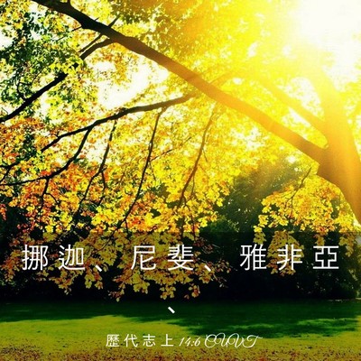 Picture 03 - 歷 代 志 上 14:6 CUVT - 挪 迦 、 尼 斐 、 雅 非 亞 - Bible Verse Picture