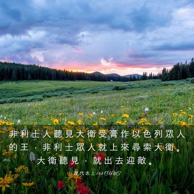 Picture 03 - 歷 代 志 上 14:8 CUVT - 非 利 士 人 聽 見 大 衛 受 膏 作 以 - Bible Verse Picture
