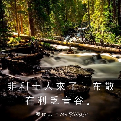 Picture 03 - 歷 代 志 上 14:9 CUVT - 非 利 士 人 來 了 ， 布 散 在 利 乏 - Bible Verse Picture