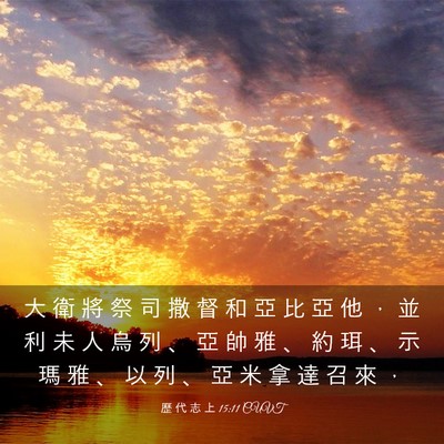 Picture 03 - 歷 代 志 上 15:11 CUVT - 大 衛 將 祭 司 撒 督 和 亞 比 亞 他 - Bible Verse Picture