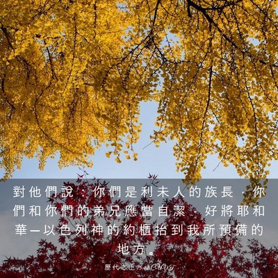 Picture 03 - 歷 代 志 上 15:12 CUVT - 對 他 們 說 ： 你 們 是 利 未 人 的 - Bible Verse Picture