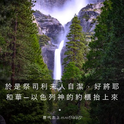 Picture 03 - 歷 代 志 上 15:14 CUVT - 於 是 祭 司 利 未 人 自 潔 ， 好 將 - Bible Verse Picture