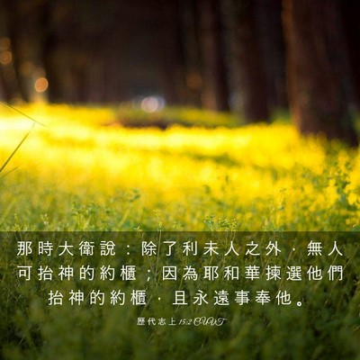 Picture 03 - 歷 代 志 上 15:2 CUVT - 那 時 大 衛 說 ： 除 了 利 未 人 之 - Bible Verse Picture