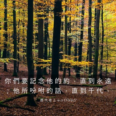 Picture 03 - 歷 代 志 上 16:15 CUVT - 你 們 要 記 念 他 的 約 ， 直 到 永 - Bible Verse Picture