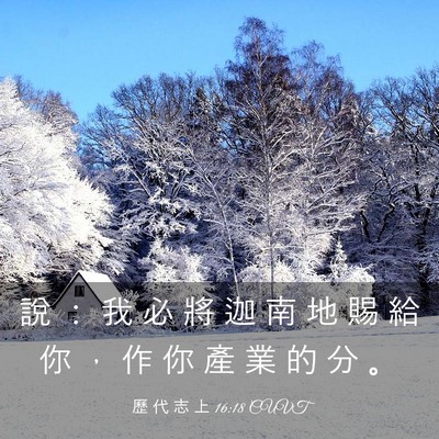 Picture 03 - 歷 代 志 上 16:18 CUVT - 說 ： 我 必 將 迦 南 地 賜 給 你 ， - Bible Verse Picture