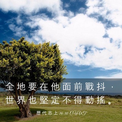 Picture 03 - 歷 代 志 上 16:30 CUVT - 全 地 要 在 他 面 前 戰 抖 ， 世 界 - Bible Verse Picture