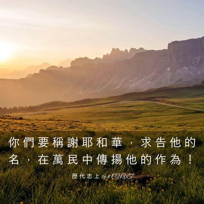 Picture 03 - 歷 代 志 上 16:8 CUVT - 你 們 要 稱 謝 耶 和 華 ， 求 告 他 - Bible Verse Picture