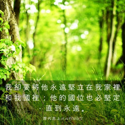 Picture 03 - 歷 代 志 上 17:14 CUVT - 我 卻 要 將 他 永 遠 堅 立 在 我 家 - Bible Verse Picture