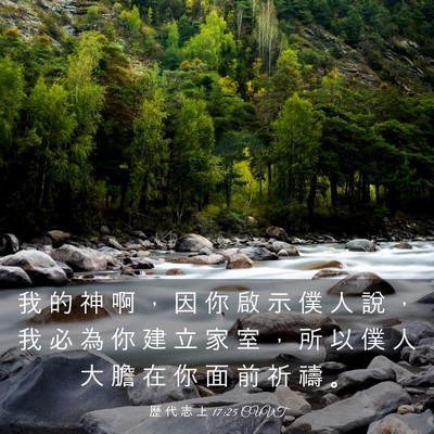 Picture 03 - 歷 代 志 上 17:25 CUVT - 我 的 神 啊 ， 因 你 啟 示 僕 人 說 - Bible Verse Picture