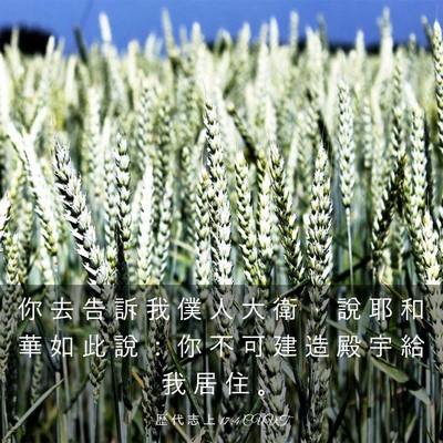 Picture 03 - 歷 代 志 上 17:4 CUVT - 你 去 告 訴 我 僕 人 大 衛 ， 說 耶 - Bible Verse Picture