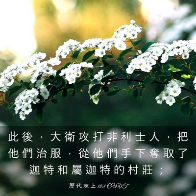 Picture 03 - 歷 代 志 上 18:1 CUVT - 此 後 ， 大 衛 攻 打 非 利 士 人 ， - Bible Verse Picture