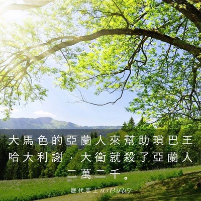 Picture 03 - 歷 代 志 上 18:5 CUVT - 大 馬 色 的 亞 蘭 人 來 幫 助 瑣 巴 - Bible Verse Picture