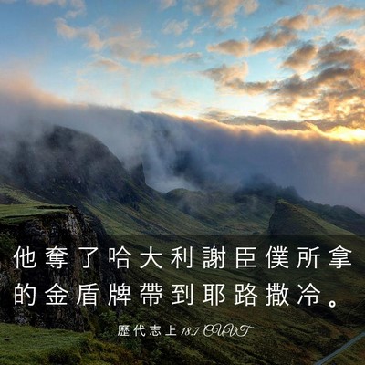 Picture 03 - 歷 代 志 上 18:7 CUVT - 他 奪 了 哈 大 利 謝 臣 僕 所 拿 的 - Bible Verse Picture