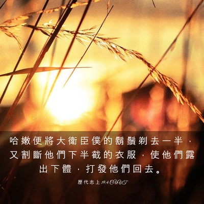 Picture 03 - 歷 代 志 上 19:4 CUVT - 哈 嫩 便 將 大 衛 臣 僕 的 鬍 鬚 剃 - Bible Verse Picture