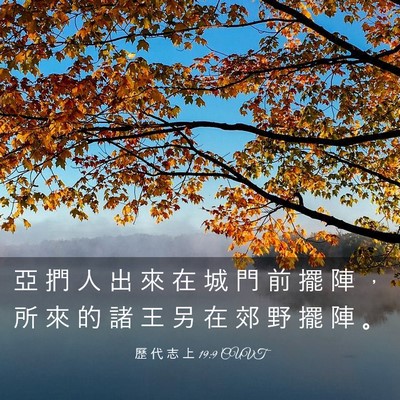 Picture 03 - 歷 代 志 上 19:9 CUVT - 亞 捫 人 出 來 在 城 門 前 擺 陣 ， - Bible Verse Picture
