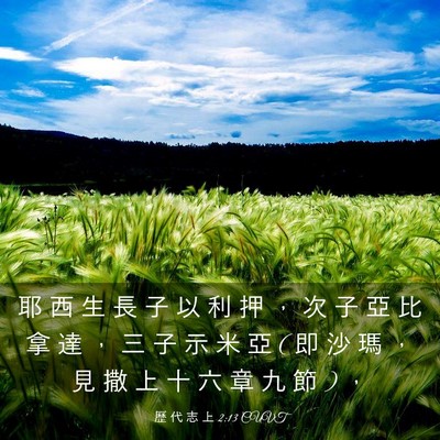 Picture 03 - 歷 代 志 上 2:13 CUVT - 耶 西 生 長 子 以 利 押 ， 次 子 亞 - Bible Verse Picture