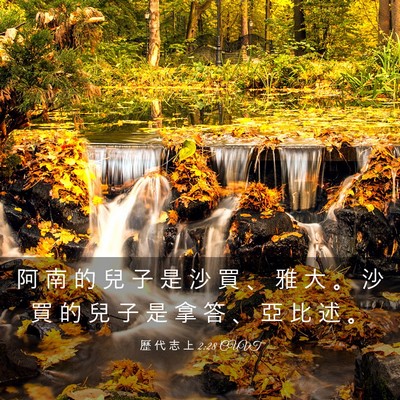 Picture 03 - 歷 代 志 上 2:28 CUVT - 阿 南 的 兒 子 是 沙 買 、 雅 大 。 - Bible Verse Picture