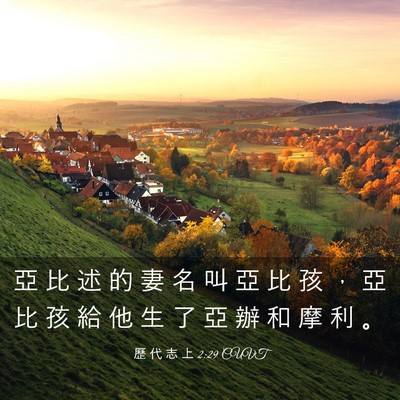 Picture 03 - 歷 代 志 上 2:29 CUVT - 亞 比 述 的 妻 名 叫 亞 比 孩 ， 亞 - Bible Verse Picture