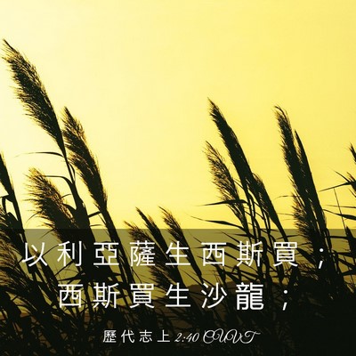 Picture 03 - 歷 代 志 上 2:40 CUVT - 以 利 亞 薩 生 西 斯 買 ； 西 斯 買 - Bible Verse Picture