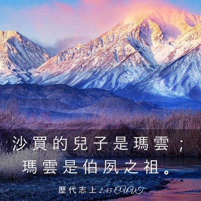 Picture 03 - 歷 代 志 上 2:45 CUVT - 沙 買 的 兒 子 是 瑪 雲 ； 瑪 雲 是 - Bible Verse Picture