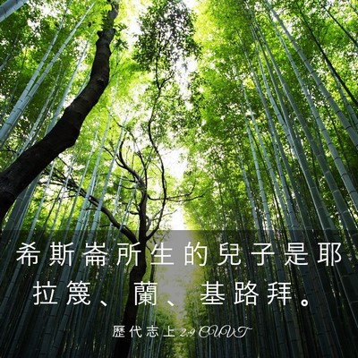 Picture 03 - 歷 代 志 上 2:9 CUVT - 希 斯 崙 所 生 的 兒 子 是 耶 拉 篾 - Bible Verse Picture