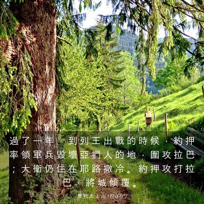 Picture 03 - 歷 代 志 上 20:1 CUVT - 過 了 一 年 ， 到 列 王 出 戰 的 時 - Bible Verse Picture