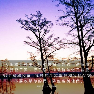 Picture 03 - 歷 代 志 上 21:17 CUVT - 大 衛 禱 告 神 說 ： 吩 咐 數 點 百 - Bible Verse Picture