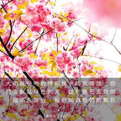 Picture 03 - 歷 代 志 上 21:2 CUVT - 大 衛 就 吩 咐 約 押 和 民 中 的 首 - Bible Verse Picture