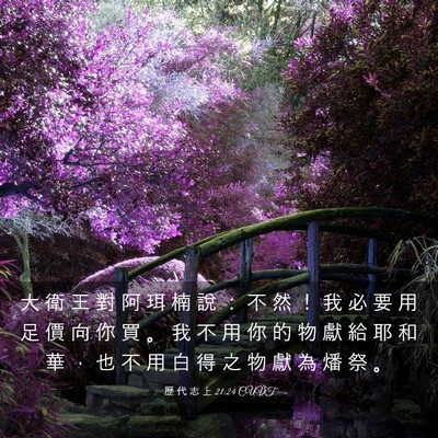 Picture 03 - 歷 代 志 上 21:24 CUVT - 大 衛 王 對 阿 珥 楠 說 ： 不 然 ！ - Bible Verse Picture