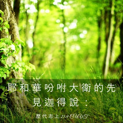 Picture 03 - 歷 代 志 上 21:9 CUVT - 耶 和 華 吩 咐 大 衛 的 先 見 迦 得 - Bible Verse Picture