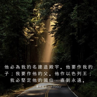 Picture 03 - 歷 代 志 上 22:10 CUVT - 他 必 為 我 的 名 建 造 殿 宇 。 他 - Bible Verse Picture