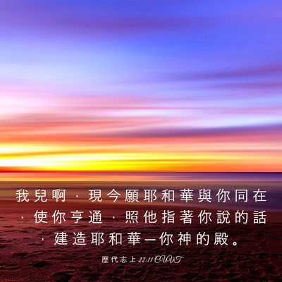Picture 03 - 歷 代 志 上 22:11 CUVT - 我 兒 啊 ， 現 今 願 耶 和 華 與 你 - Bible Verse Picture