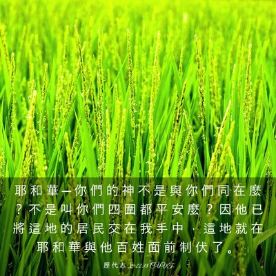 Picture 03 - 歷 代 志 上 22:18 CUVT - 耶 和 華 ─ 你 們 的 神 不 是 與 你 - Bible Verse Picture