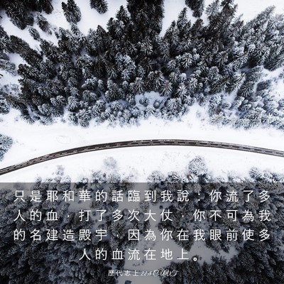 Picture 03 - 歷 代 志 上 22:8 CUVT - 只 是 耶 和 華 的 話 臨 到 我 說 ： - Bible Verse Picture