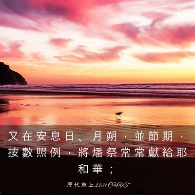 Picture 03 - 歷 代 志 上 23:31 CUVT - 又 在 安 息 日 、 月 朔 ， 並 節 期 - Bible Verse Picture