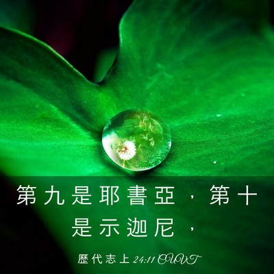 Picture 03 - 歷 代 志 上 24:11 CUVT - 第 九 是 耶 書 亞 ， 第 十 是 示 迦 - Bible Verse Picture