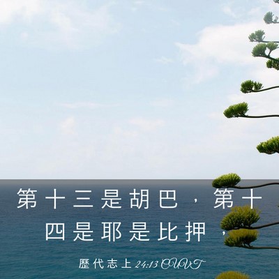 Picture 03 - 歷 代 志 上 24:13 CUVT - 第 十 三 是 胡 巴 ， 第 十 四 是 耶 - Bible Verse Picture