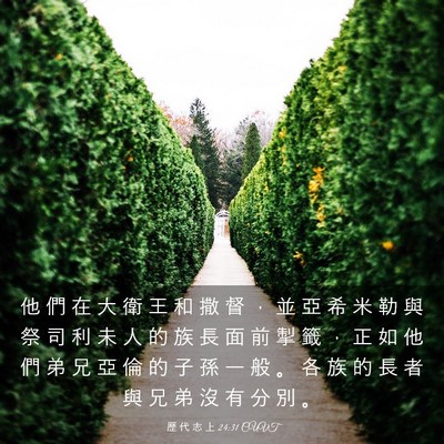 Picture 03 - 歷 代 志 上 24:31 CUVT - 他 們 在 大 衛 王 和 撒 督 ， 並 亞 - Bible Verse Picture