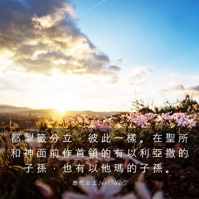 Picture 03 - 歷 代 志 上 24:5 CUVT - 都 掣 籤 分 立 ， 彼 此 一 樣 。 在 - Bible Verse Picture