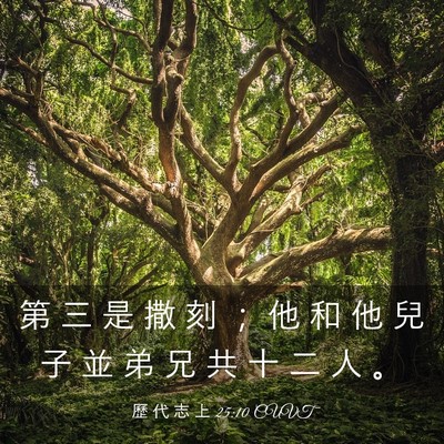 Picture 03 - 歷 代 志 上 25:10 CUVT - 第 三 是 撒 刻 ； 他 和 他 兒 子 並 - Bible Verse Picture