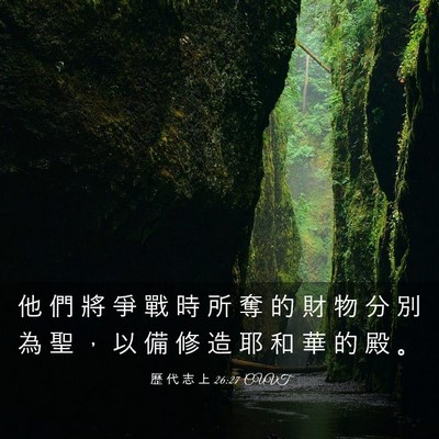 Picture 03 - 歷 代 志 上 26:27 CUVT - 他 們 將 爭 戰 時 所 奪 的 財 物 分 - Bible Verse Picture